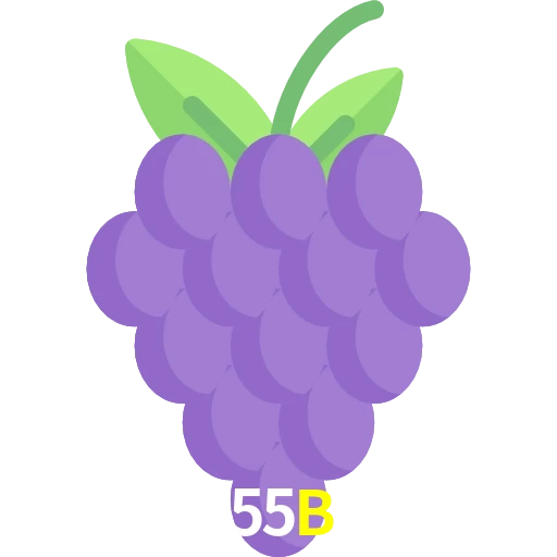 55B